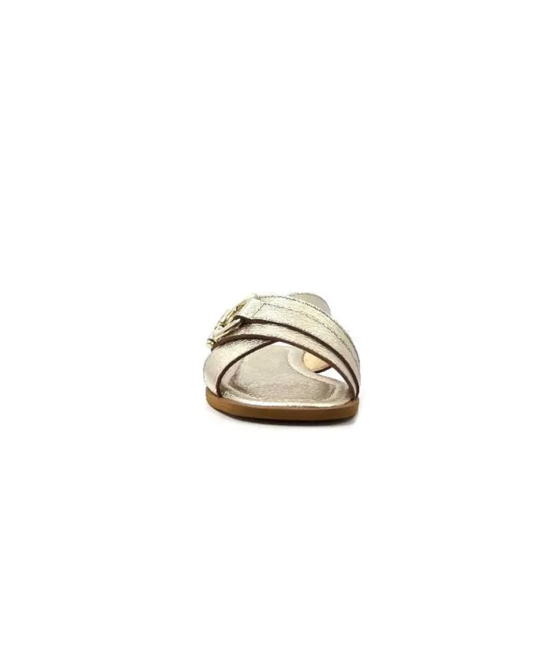 Ivoire 22681 Cuir Or