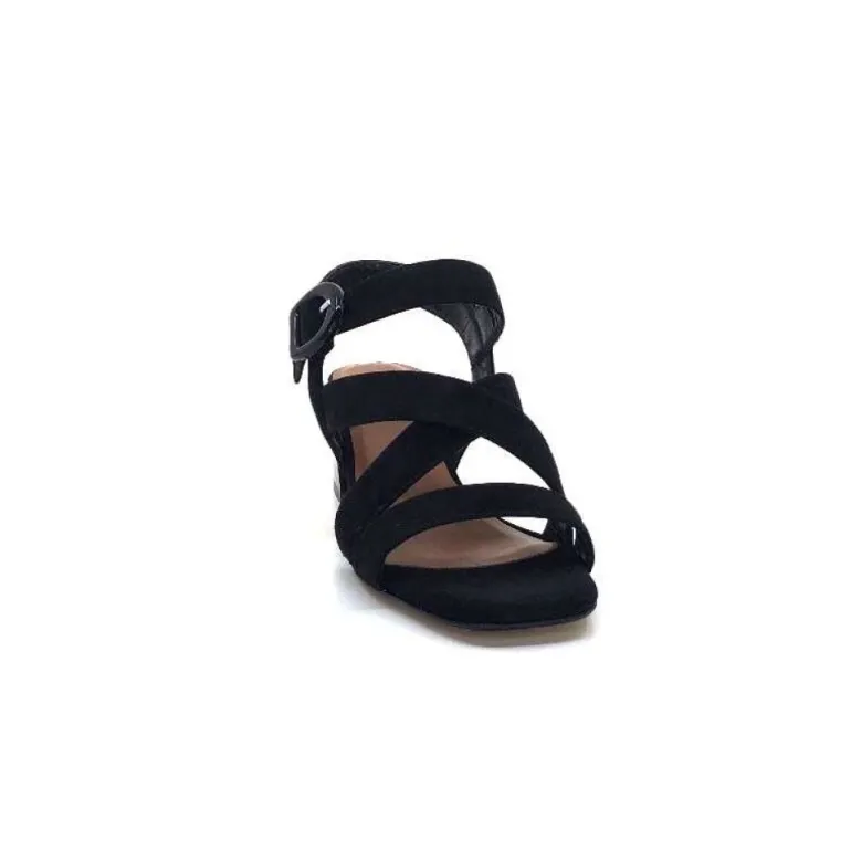 Ivoire F2063 Sardegna Daim Noir