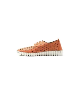 Ivoire Hy 2023.1 Cuir Corail